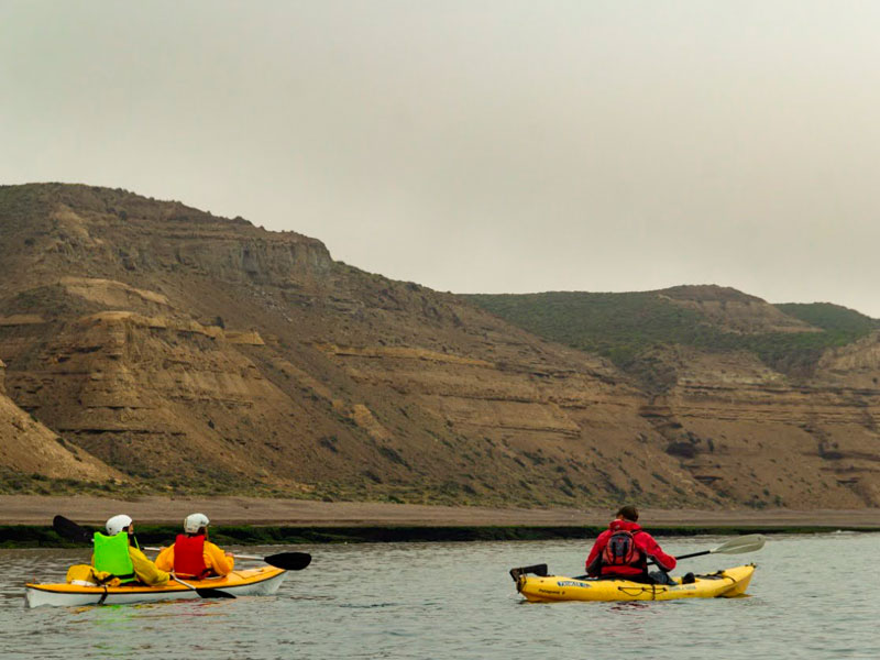 Excursión Kayak con Lobos