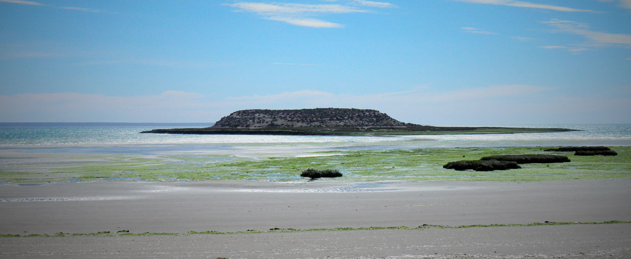 Excursión Península Valdés